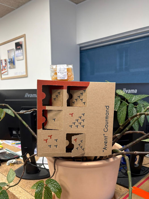 article-cube-renovations-calendrier-avent-2025-1